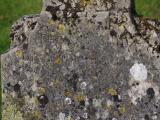 image of grave number 829732